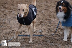 Hutamix-25-01-w27-049