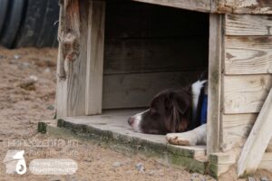 Hutamix-25-01-w27-050