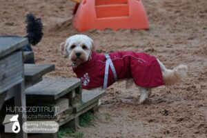 Hutamix-25-01-w27-052