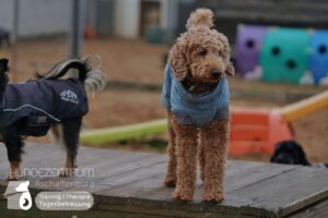 Hutamix-25-01-w27-053