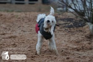 Hutamix-25-01-w27-054