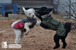 Hutamix-25-01-w27-055