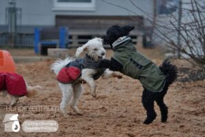 Hutamix-25-01-w27-056