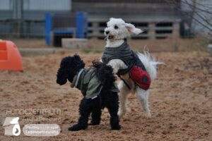 Hutamix-25-01-w27-058