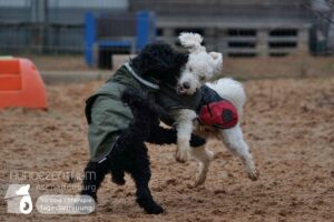 Hutamix-25-01-w27-060