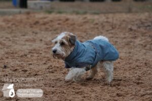 Hutamix-25-01-w27-061