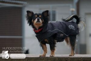 Hutamix-25-01-w27-062