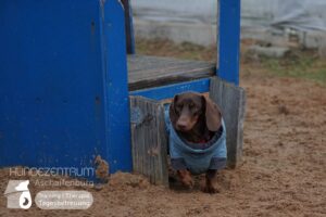 Hutamix-25-01-w27-063