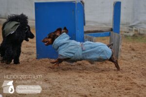 Hutamix-25-01-w27-064