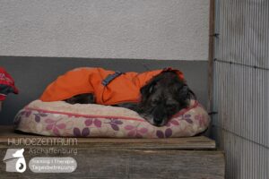 Hutamix-25-01-w27-067