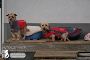 Hutamix-25-01-w27-068