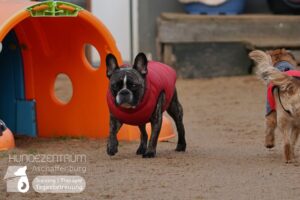 Hutamix-25-01-w27-069