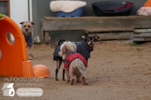 Hutamix-25-01-w27-070