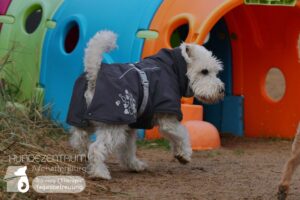 Hutamix-25-01-w27-071