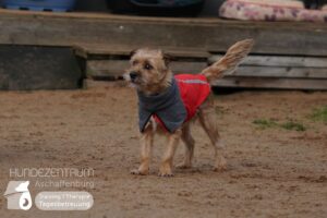 Hutamix-25-01-w27-072