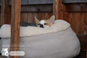 Hutamix-25-01-w27-073