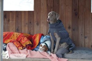 Hutamix-25-01-w27-074