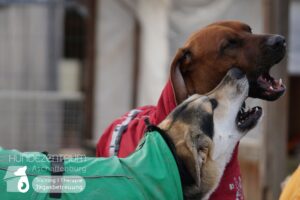 Hutamix-25-01-w27-075