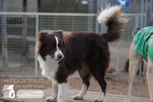 Hutamix-25-01-w27-076