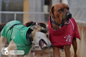 Hutamix-25-01-w27-077