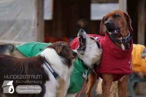 Hutamix-25-01-w27-078