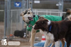 Hutamix-25-01-w27-079