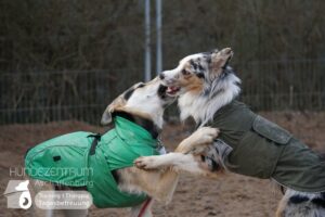 Hutamix-25-01-w27-081