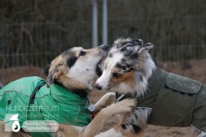 Hutamix-25-01-w27-082