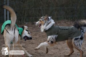 Hutamix-25-01-w27-083