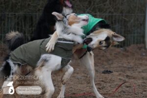 Hutamix-25-01-w27-084