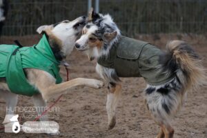 Hutamix-25-01-w27-085