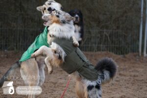 Hutamix-25-01-w27-086