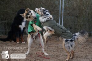 Hutamix-25-01-w27-087