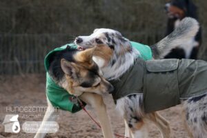 Hutamix-25-01-w27-088