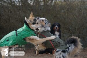 Hutamix-25-01-w27-089