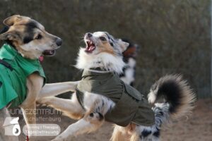 Hutamix-25-01-w27-090