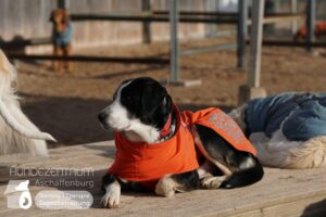 Hutamix-25-01-w27-092