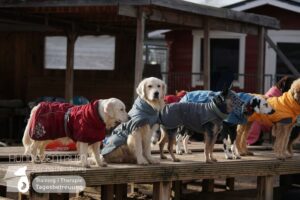 Hutamix-25-01-w27-095