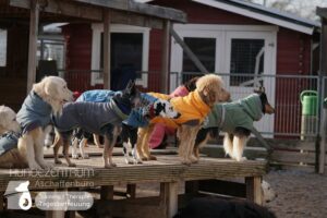 Hutamix-25-01-w27-096