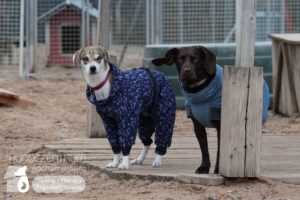 Hutamix-25-02-w10-001