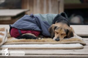 Hutamix-25-02-w10-002