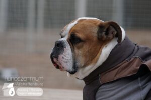 Hutamix-25-02-w10-003