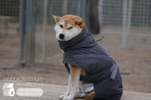 Hutamix-25-02-w10-004