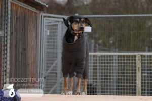 Hutamix-25-02-w10-005