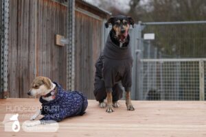 Hutamix-25-02-w10-006