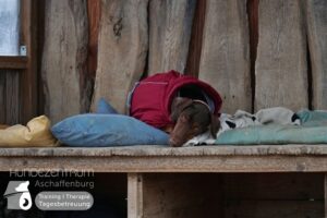 Hutamix-25-02-w10-007