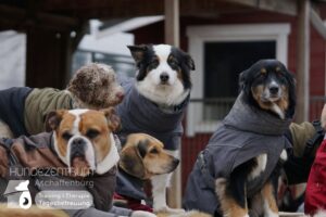 Hutamix-25-02-w10-008