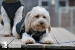 Hutamix-25-02-w10-010