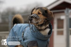 Hutamix-25-02-w10-011