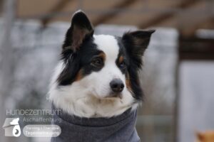 Hutamix-25-02-w10-012